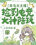 菜鸟女主播捡到电竞大神陪玩小说