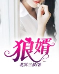 狼婿出山1至100集免费