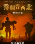 亮剑无限模拟人生秀翻晋西北清华水木