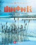 重生之山村小村长