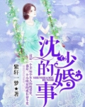 沈少的婚事