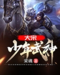 大宋：少年武神