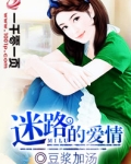 爱情迷路了