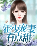 霍少宠妻成瘾