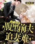 豪门隐婚：腹黑前夫追妻难