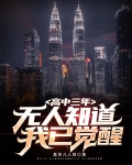 高中三年,无人知道我已觉醒境界表