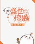 盛世惊婚:总裁,离婚吧