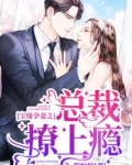 宝缘孕妻之总裁吃上瘾