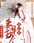 女尊快穿之妻主是个宠夫狂