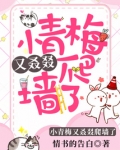 小青梅又叒叕爬墙了