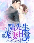 陆先生的宠妻日常