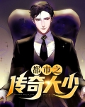 都市之传奇大少