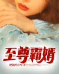 至尊霸婿小说