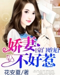 豪门婚宠:娇妻不好惹