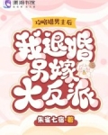 攻略错男主后,我退婚另嫁大反派 朱雀七宿