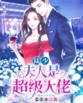 陆少,夫人是超级大佬
