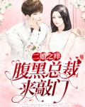 二婚之痒，腹黑总裁来敲门