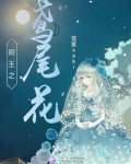 网王鸢尾花凋零的时候小说免费阅读