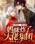 五年后,萌宝携妈咪炸了大佬集团陆战