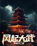 风起大武小说
