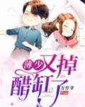 薄少是个醋坛子小说