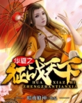 华夏之征服万界