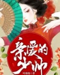 亲爱的,少帅!