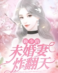 小说顾少的宠妻