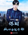 怀旧从四合院开始免费阅读