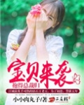 宝贝来袭，抱得总裁归