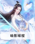 暗影se