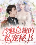 冷魅总裁的小暖妻