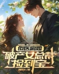 捡到傻子总裁的小说