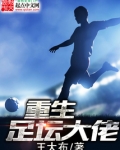 重生足坛大佬 小说