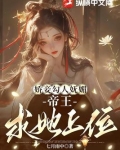 娇妾上位的小说