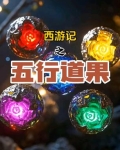 五行西游记讲解