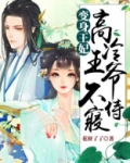 变身王妃：高冷王爷不侍寝