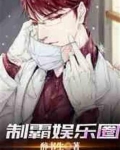 制霸娱乐圈小说