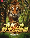 我有一座野生动物园笔趣阁