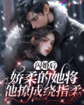 闪婚后成了大佬的掌中娇 梅眉