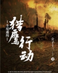 全境通缉：猎鹰行动
