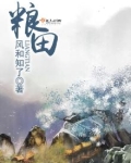 粮田被别人占了应该怎么解决