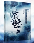 紫极天下