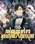 我在娱乐圈找影帝