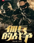 佣兵的战争