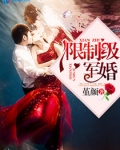 限制级军婚