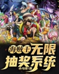 海贼王:无限抽奖系统txt