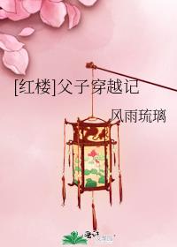 红楼父子穿越记笔趣阁免费阅读
