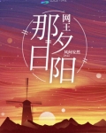 网王夕阳的容颜 小说