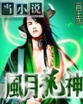 龙成风月